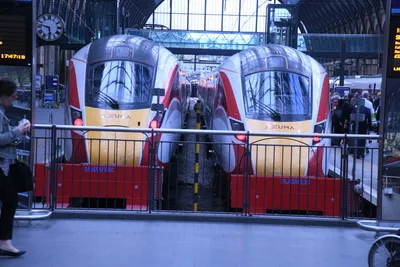 DSC_1579 (Large).JPG